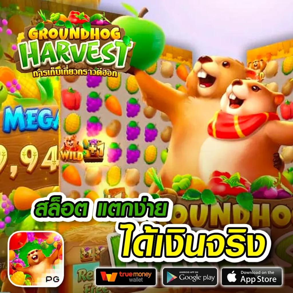 get77 เว็บตรง คาสิโนครบเครื่อง รับโบนัสทันที เล่นง่ายทันใจ